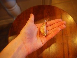 garlic clove