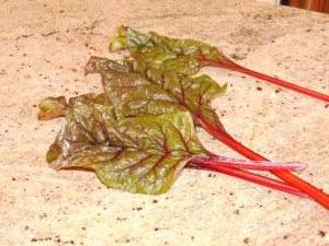 swiss chard