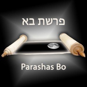 Parashas Bo