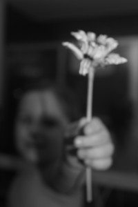 IMG_6537