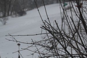 IMG_6871