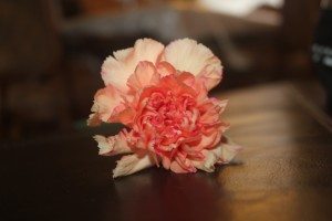 IMG_6932