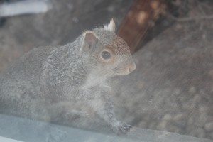 IMG_7066