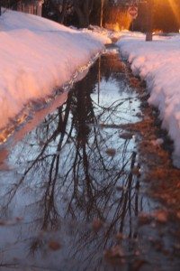 IMG_7874