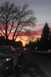 IMG_8093