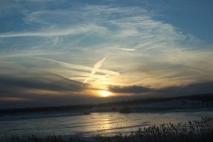 IMG_8194