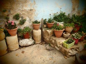flowery corner