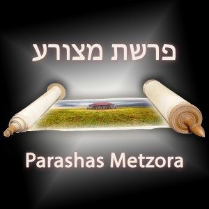 Parashas Metzora