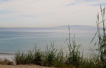 DSC00628