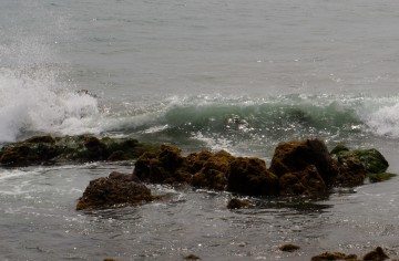DSC00690
