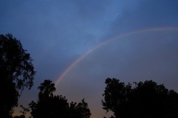 _DSC3382