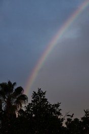 _DSC3389