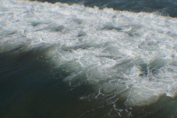 DSC02323